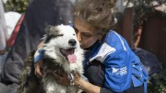 Pas spasen iz ruševina 23 dana nakon zemljotresa u Turskoj
