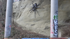 Traži se novo mesto za ogromnu skulpturu pauka u Kanadi
