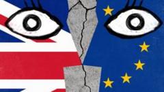 برطانیہ کے یورپی یونین سے انخلاء کے بعد فوری طور پر کیا چیز تبدیل ہوگی، اور کیا نہیں؟