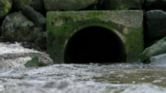 Some 20m tonnes of sewage spills into water annually