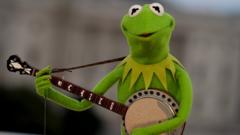 Kermit the Frog honoured in new fossil find
