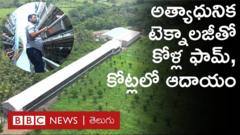 రూ.3,000 తో కోళ్ల పెంపకం మొదలుపెట్టిన పేద రైతు, ఇప్పుడు కోట్లు సంపాదిస్తున్నారు