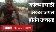 छत्तीसगड, कोळसा खाण