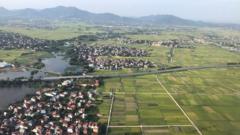 Đồng ruộng VN