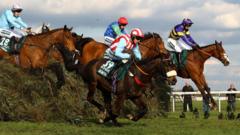 What happened to your Grand National horse?