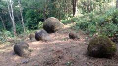 அசாம் அகழாய்வு
