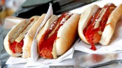 Nếu có bất kỳ món ăn nào đại diện cho văn hoá Mỹ, thì đó là món hot dog giản dị