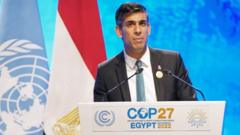 Prime Minister Rishi Sunak addressed leaders at COP27 in Egypt