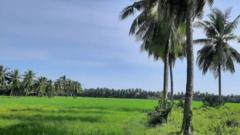 కోనసీమ