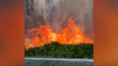 Watch: Fires blaze along Miami highway