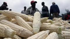 Intete cyangwa ifo y'ibigori bivuye mu bindi bihugu ubu ntivyemewe kwinjira mu Burundi