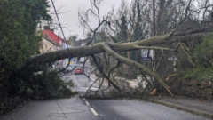 Trees down and travel disruption amid Storm Kathleen
