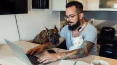 мужчина собака и кот за компьютером
