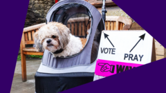 Selfies, dogs and drinking: What's allowed in a polling station
