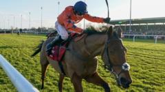Bravemansgame cleared for Punchestown run
