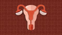 महिला आरोग्य, योनीमार्ग, मासिक पाळी
