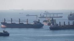 Cargo ships carrying Ukraine grain are anchored as they wait in line for the inspection on the Marmara sea, Istanbul, Turkey, 22 October 2022