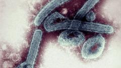 Close up of Marburg virus