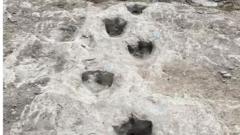tragovi dinosaorusa