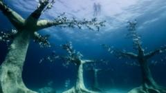 تصاویر شگفت‌انگیز جنگل زیر آب