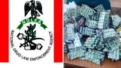 NDLEA arrest drug lord for Anambra and Taraba state