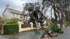 One dead and nearly a million without power in Storm Éowyn