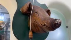 Antique pig's head fetches £530 at auction