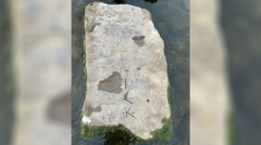 What Happened to the Rare Medieval Stones That Shocked the Community?