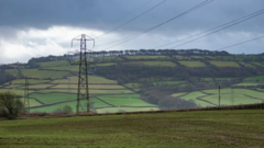 Tirfeddianwyr yn mynd â chwmni cynllun peilonau i'r Uchel Lys