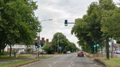 Woman in her 70s struck by car that hit tree