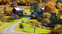 Paisagem rural com casas e plantas com folhas alaranjadas