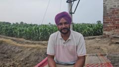 ਪੰਜਾਬ: ਗਰਮ ਰੁੱਤ ਦੀ ਮੱਕੀ ਤੋਂ ਕਿਸਾਨਾਂ ਨੂੰ ਮਿਲ ਰਿਹਾ ਚੰਗਾ ਮੁਨਾਫ਼ਾ, ਪਰ ਖੇਤੀ ਮਾਹਰ ਕਿਉਂ ਹਨ ਚਿੰਤਤ 