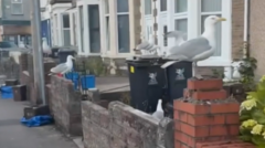 Noisy seagulls filmed holding 'meeting' over rubbish as students move out