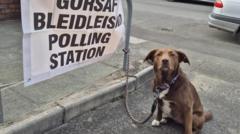 Polls open for voting in Senedd election