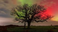 Stunning skies as Northern Lights seen in the UK