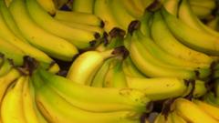 Is this the secret to stop bananas going brown?