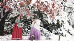 Seoul blanketed by heaviest November snow on record