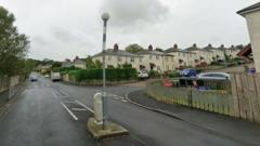 Man accused of repeatedly driving at pedestrian