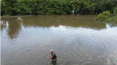 How Did a Farm Flood Lead to the Drowning of 270 Sheep?