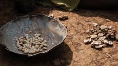 More than a dozen children die because of food shortages in Sudan camp - medics