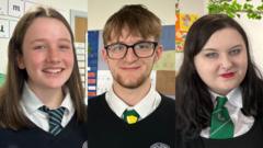 'Bai annheg' ar bobl ifanc am ymddygiad gwrthgymdeithasol