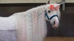 Disability horse-riding centre saved from closure