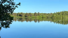 Search for boy, 15, missing in nature reserve lake