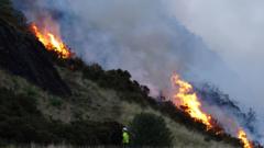 UK cities face new 'firewave' risk from hot, dry summers, scientists warn