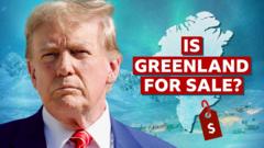 Could the US buy Greenland? If so, how?