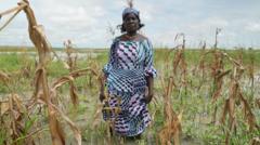 Les inondations et la sécheresse dues au changement climatique aggravent la sécurité alimentaire au Nigeria