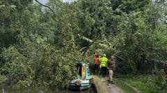 Stoke Canal Blocked After Tree Falls on Boat
