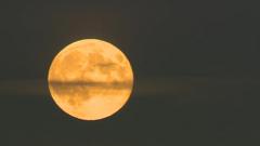 Stargazers around the world catch supermoon