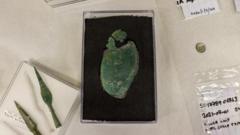 Museum buys Iron Age hoard found by detectorist