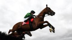 Second horse dies at Cheltenham Festival